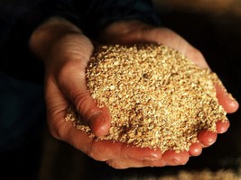 tourteau soja cotation prix