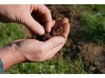 analyse de sol analyse de fumier lisier